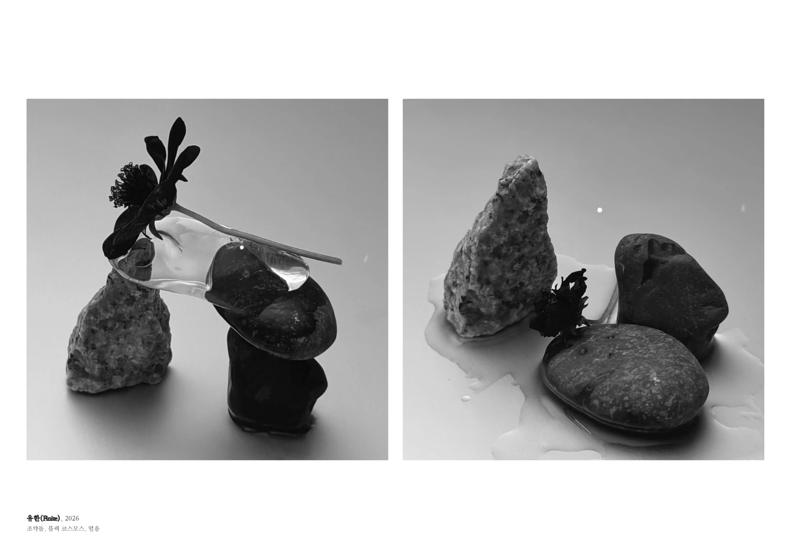 미(美)의 탐구
